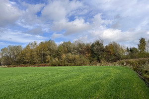 Działka na sprzedaż chełmski Wierzbica Syczyn - zdjęcie 2