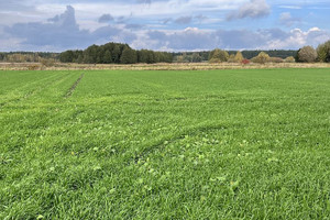 Działka na sprzedaż chełmski Wierzbica - zdjęcie 2