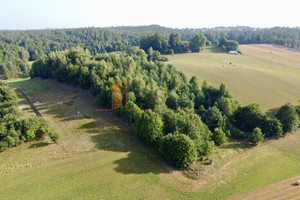 Działka na sprzedaż 10700m2 kartuski Chmielno Miechucino - zdjęcie 1