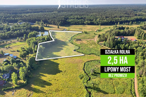 Działka na sprzedaż 25017m2 sokólski Szudziałowo Lipowy Most - zdjęcie 1