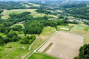 Działka na sprzedaż 5488m2 rzeszowski Lubenia Straszydle - zdjęcie 2