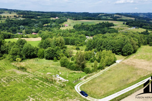 Działka na sprzedaż 5488m2 rzeszowski Lubenia Straszydle - zdjęcie 3