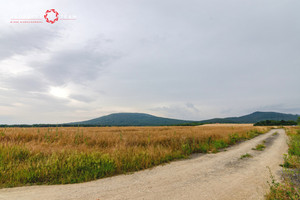 Działka na sprzedaż 2713m2 świdnicki Marcinowice Tąpadła - zdjęcie 1