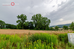 Działka na sprzedaż 2713m2 świdnicki Marcinowice Tąpadła - zdjęcie 3