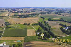 Działka na sprzedaż 5500m2 proszowicki Proszowice Szczytniki - zdjęcie 2