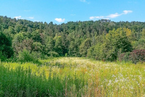 Działka na sprzedaż 3091m2 puławski Kazimierz Dolny Bochotnica Nałęczowska - zdjęcie 1