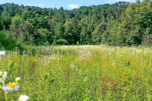 Działka na sprzedaż 3091m2 puławski Kazimierz Dolny Bochotnica Nałęczowska - zdjęcie 3