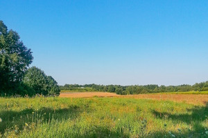 Działka na sprzedaż 3663m2 puławski Kazimierz Dolny - zdjęcie 1