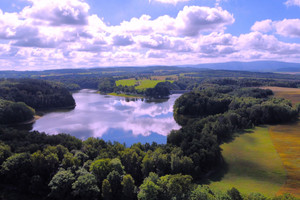 Działka na sprzedaż 1500m2 lubański Leśna - zdjęcie 1