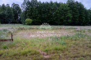 Działka na sprzedaż 1262m2 nakielski Szubin Małe Rudy - zdjęcie 2