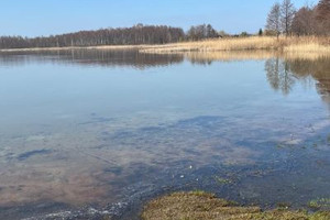 Działka na sprzedaż 1500m2 włodawski Urszulin Sumin - zdjęcie 2