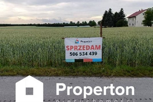 Działka na sprzedaż 3000m2 łęczyński Spiczyn Ziółków - zdjęcie 1