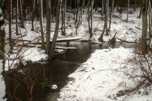 Działka na sprzedaż płocki Bodzanów Cieśle - zdjęcie 3