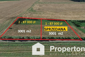 Działka na sprzedaż 3000m2 głubczycki Głubczyce Pietrowice - zdjęcie 1