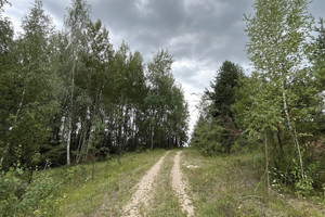 Działka na sprzedaż 52810m2 hajnowski Narew Podborowisko - zdjęcie 1