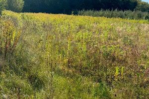 Działka na sprzedaż 1117m2 puławski Kazimierz Dolny Cholewianka Cholewianka - zdjęcie 3