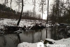 Działka na sprzedaż płocki Bodzanów Cieśle - zdjęcie 2