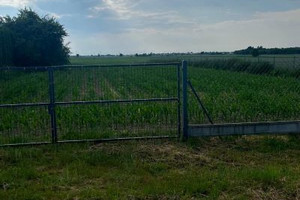 Działka na sprzedaż 2900m2 łęczyński Puchaczów Brzeziny - zdjęcie 2