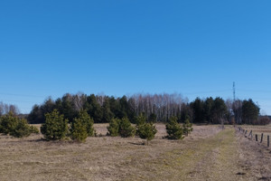 Działka na sprzedaż 4700m2 szczycieński Szczytno Małdaniec - zdjęcie 1