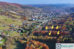 Działka na sprzedaż 59535m2 bieszczadzki Ustrzyki Dolne - zdjęcie 1