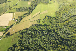 Działka na sprzedaż 3909m2 sanocki Bukowsko - zdjęcie 3