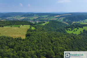 Działka na sprzedaż 19327m2 sanocki Zagórz Łukowe - zdjęcie 3