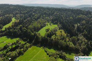 Działka na sprzedaż 37796m2 bieszczadzki Ustrzyki Dolne Ropienka - zdjęcie 3