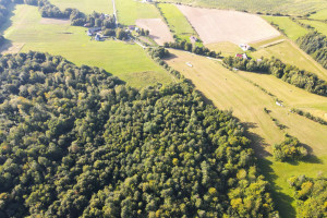 Działka na sprzedaż 3909m2 sanocki Bukowsko - zdjęcie 2