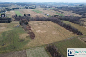 Działka na sprzedaż 18900m2 brzozowski Brzozów Stara Wieś - zdjęcie 2