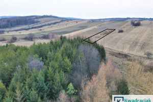 Działka na sprzedaż 1028m2 sanocki Bukowsko Pobiedno - zdjęcie 1