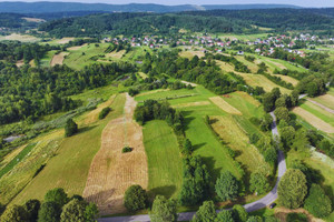 Działka na sprzedaż 2900m2 leski Lesko Jankowce - zdjęcie 2