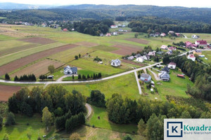 Działka na sprzedaż 2900m2 brzozowski Nozdrzec Izdebki - zdjęcie 2