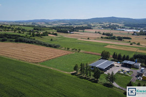 Działka na sprzedaż 4903m2 krośnieński Rymanów Mitkowskiego - zdjęcie 2