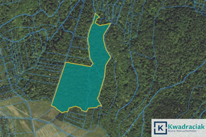 Działka na sprzedaż 96100m2 jasielski Nowy Żmigród Stary Żmigród - zdjęcie 2