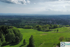 Działka na sprzedaż krośnieński Wojaszówka Odrzykoń Leśna - zdjęcie 3