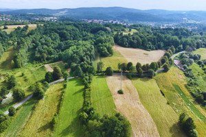 Działka na sprzedaż 2900m2 leski Lesko Jankowce - zdjęcie 3