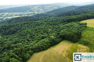 Działka na sprzedaż 96100m2 jasielski Nowy Żmigród Stary Żmigród - zdjęcie 1