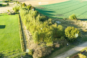 Działka na sprzedaż gryfiński Gryfino Borzym - zdjęcie 3