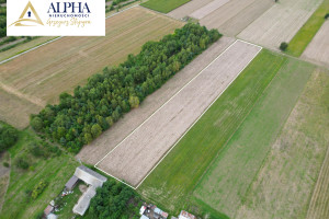 Działka na sprzedaż 60600m2 garwoliński Parysów Starowola - zdjęcie 3