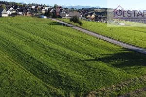 Działka na sprzedaż 4800m2 tatrzański Bukowina Tatrzańska Leśnica Sądel - zdjęcie 3