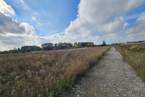 Działka na sprzedaż 7885m2 koniński Golina Adamów - zdjęcie 2