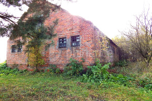 Działka na sprzedaż 2900m2 łęczyński Cyców Cyców-Kolonia Druga - zdjęcie 1