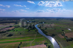 Działka na sprzedaż 138800m2 lubartowski Kock Białobrzegi-Kolonia - zdjęcie 1