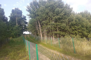 Działka na sprzedaż 1001m2 działdowski Lidzbark Kiełpiny - zdjęcie 3