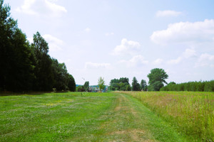 Działka na sprzedaż 1700m2 kolbuszowski Kolbuszowa - zdjęcie 3