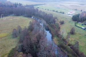 Działka na sprzedaż 39000m2 bytowski Trzebielino - zdjęcie 1