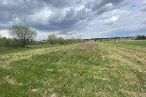 Działka na sprzedaż 3887m2 piaseczyński Lesznowola Wilcza Góra - zdjęcie 3