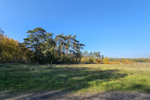 Działka na sprzedaż 1773m2 koniński Kazimierz Biskupi Kamienica - zdjęcie 4