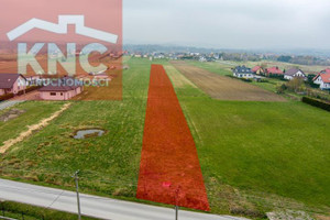 Działka na sprzedaż 4100m2 brzeski Dębno Wola Dębińska - zdjęcie 1