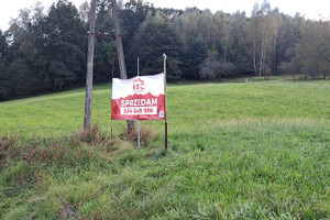 Działka na sprzedaż 1956m2 tarnowski Zakliczyn Zdonia - zdjęcie 3